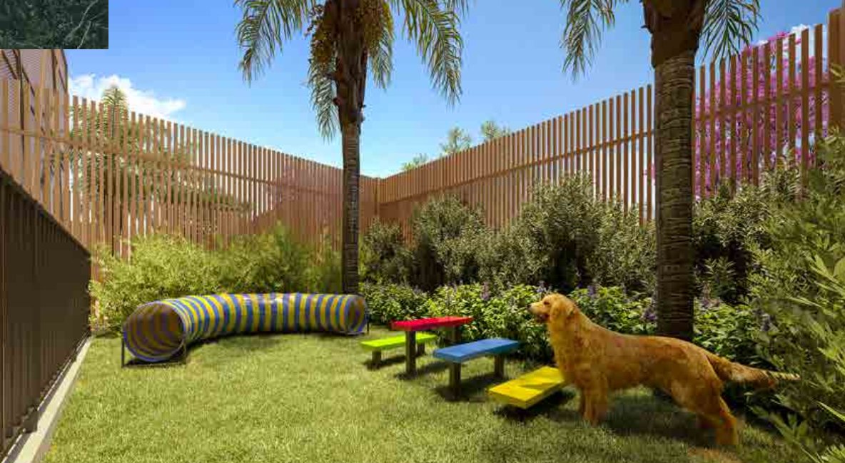Pet Place