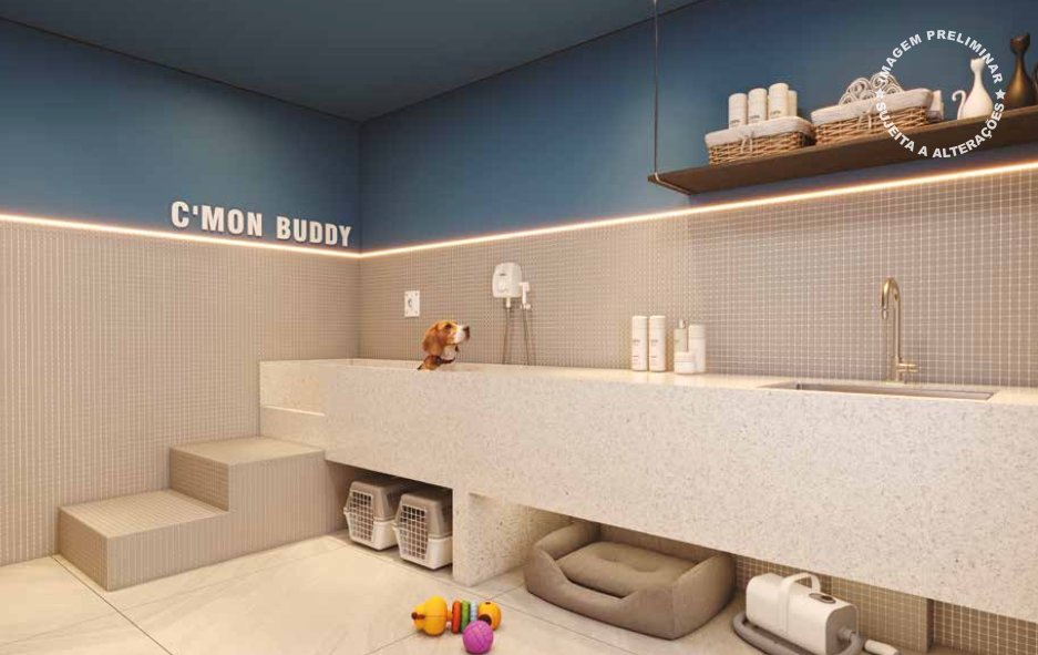 Pet Wash